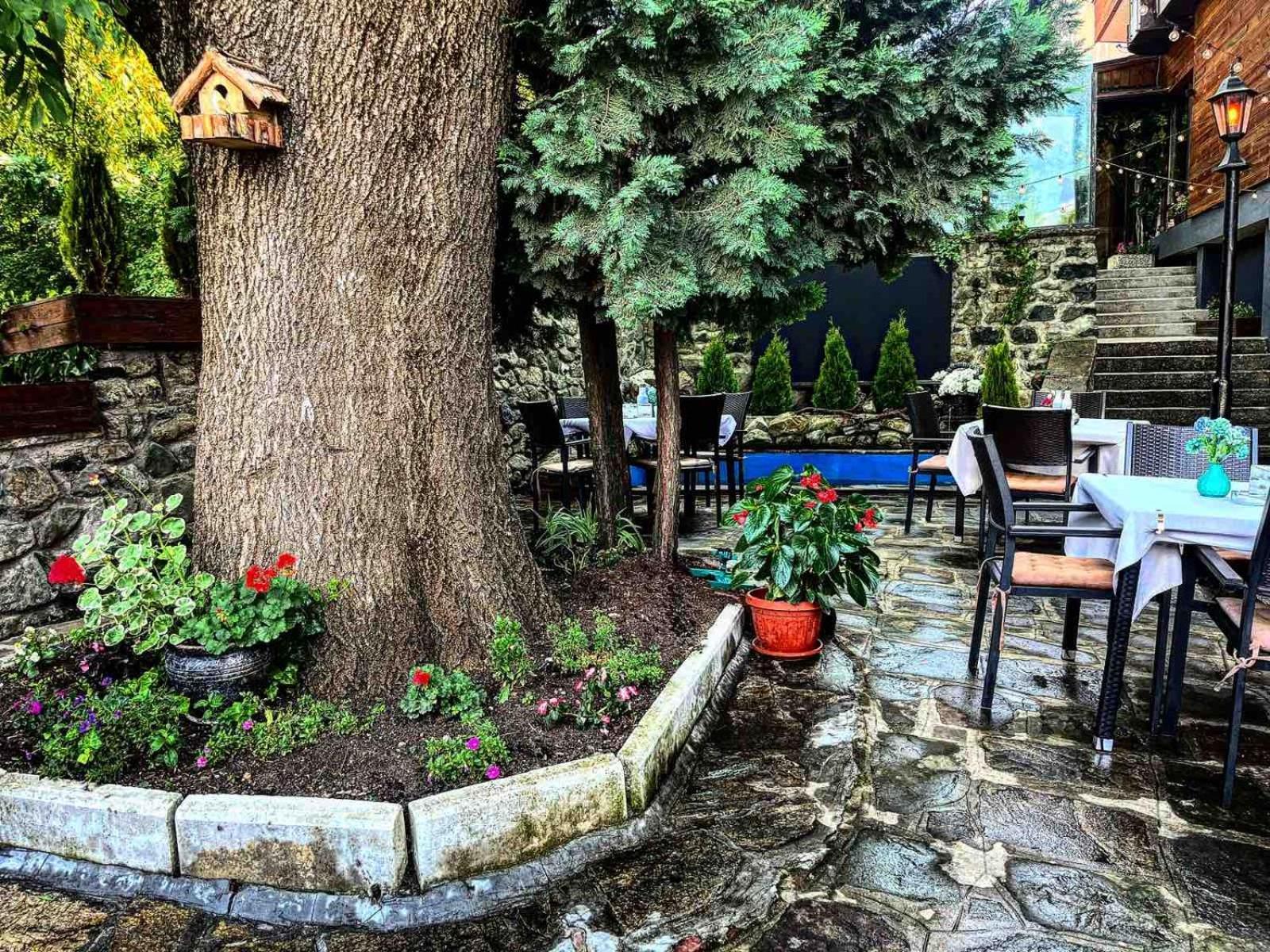 סופיה Andesite Boutique Residence Hotel מראה חיצוני תמונה